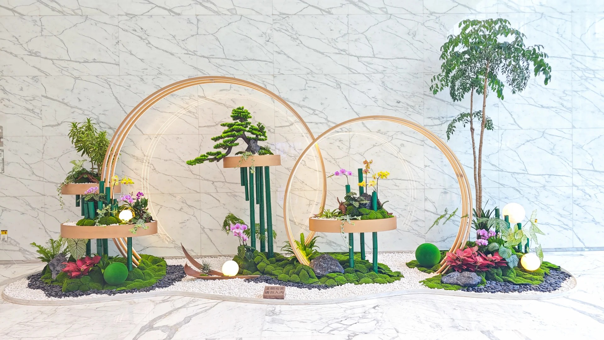 专业绿植租赁,宁波前湾开启清新自然办公模式