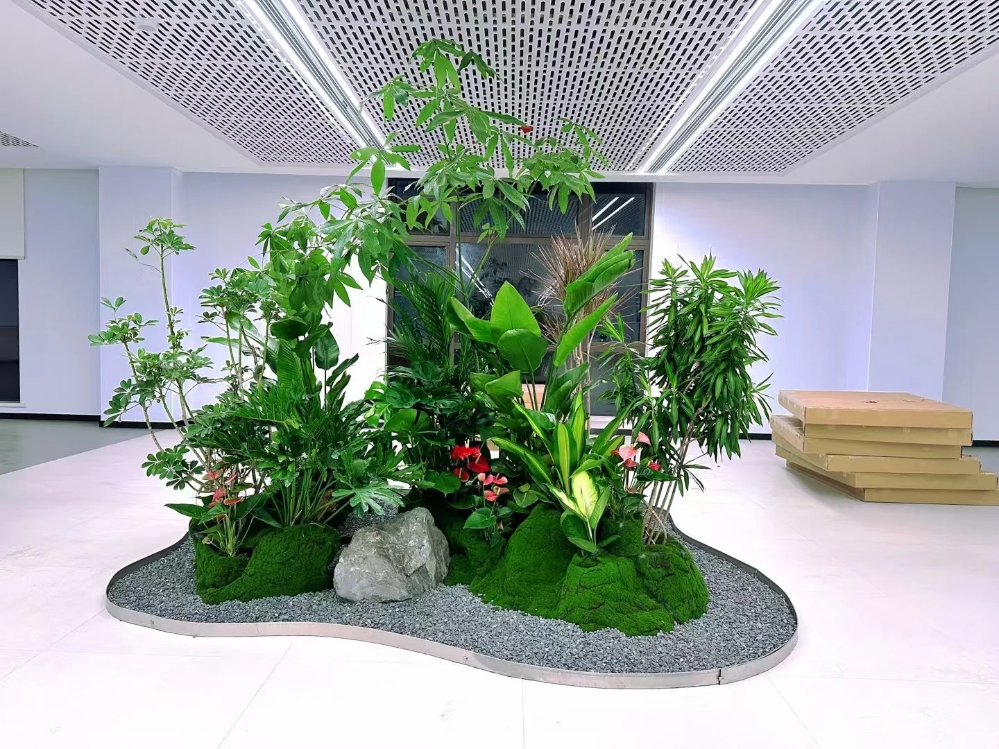 专业绿植租赁,宁波前湾开启清新自然办公模式